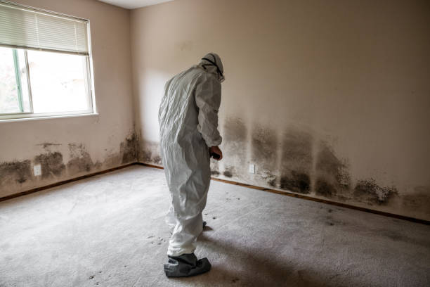 Best Mold Remediation for Healthcare Facilities  in Wooster, AR